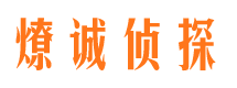 阳山市调查公司